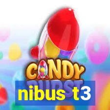 nibus t3